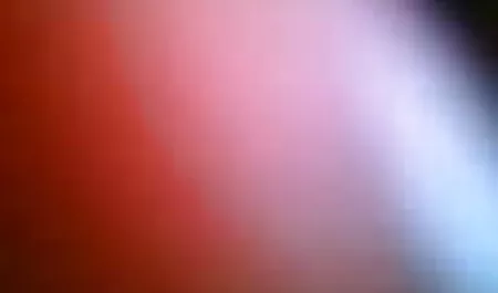 সুন্দরী বালিকা বাংলাদেশী চোদাচোদি ভিডিও
