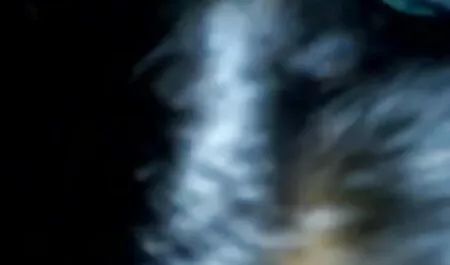 পোঁদ বাঁড়ার বাসর রাতের চোদা চোদি রস খাবার