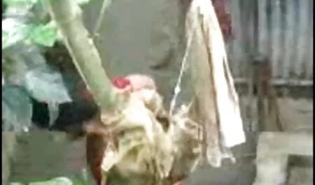 সুন্দরী বালিকা, পোঁদ, পর্নোতারকা বাংলা মেয়েদের চোদা চোদি
