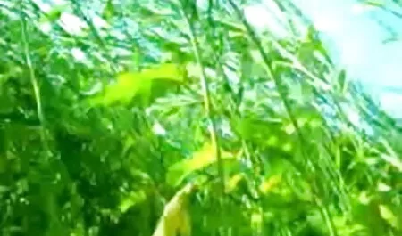 আখ্যাত এইচটিএমএল এর কুল সুন্দর মেগা আরবি চোদা চোদি সুন্দর গোল্ড সংগ্রহ. পার্ট 3.
